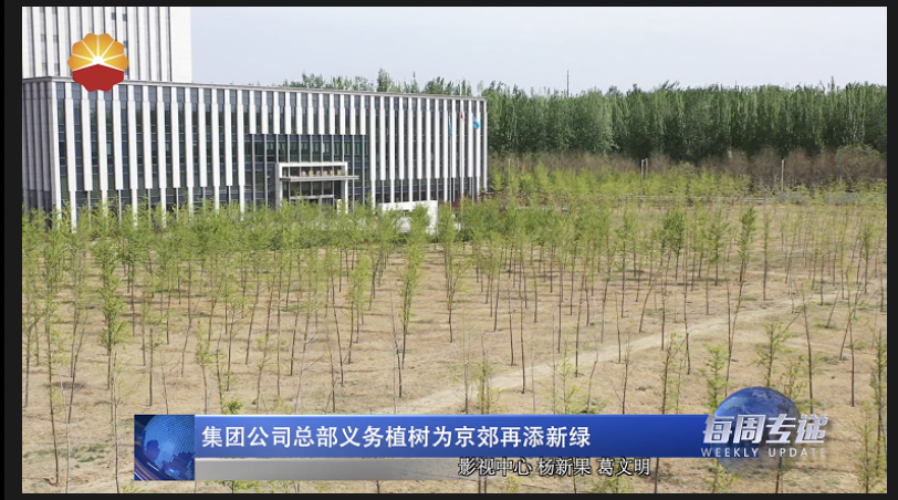 集团公司总部义务植树为京郊再添新绿