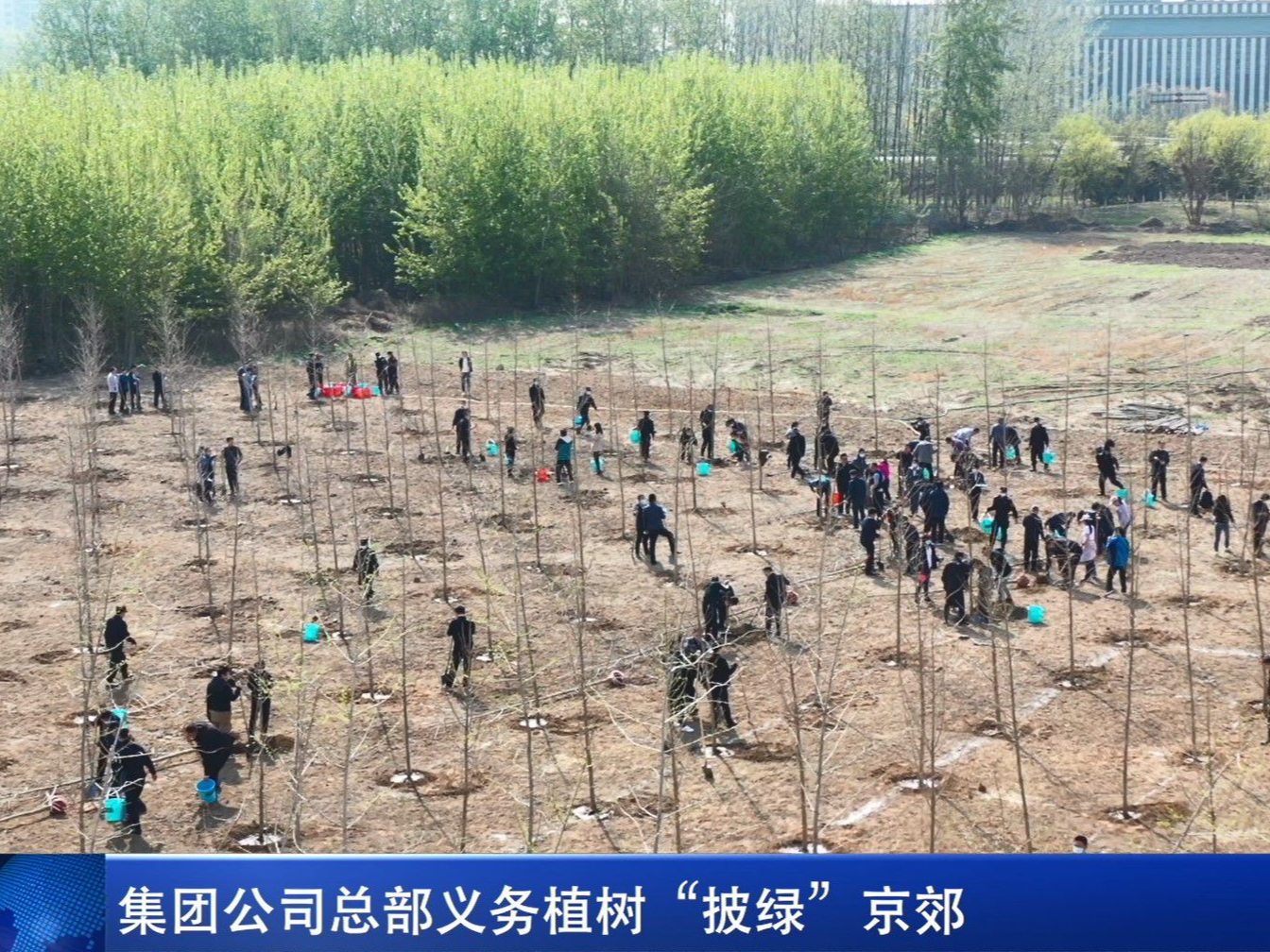 集团公司总部义务植树“披绿”京郊