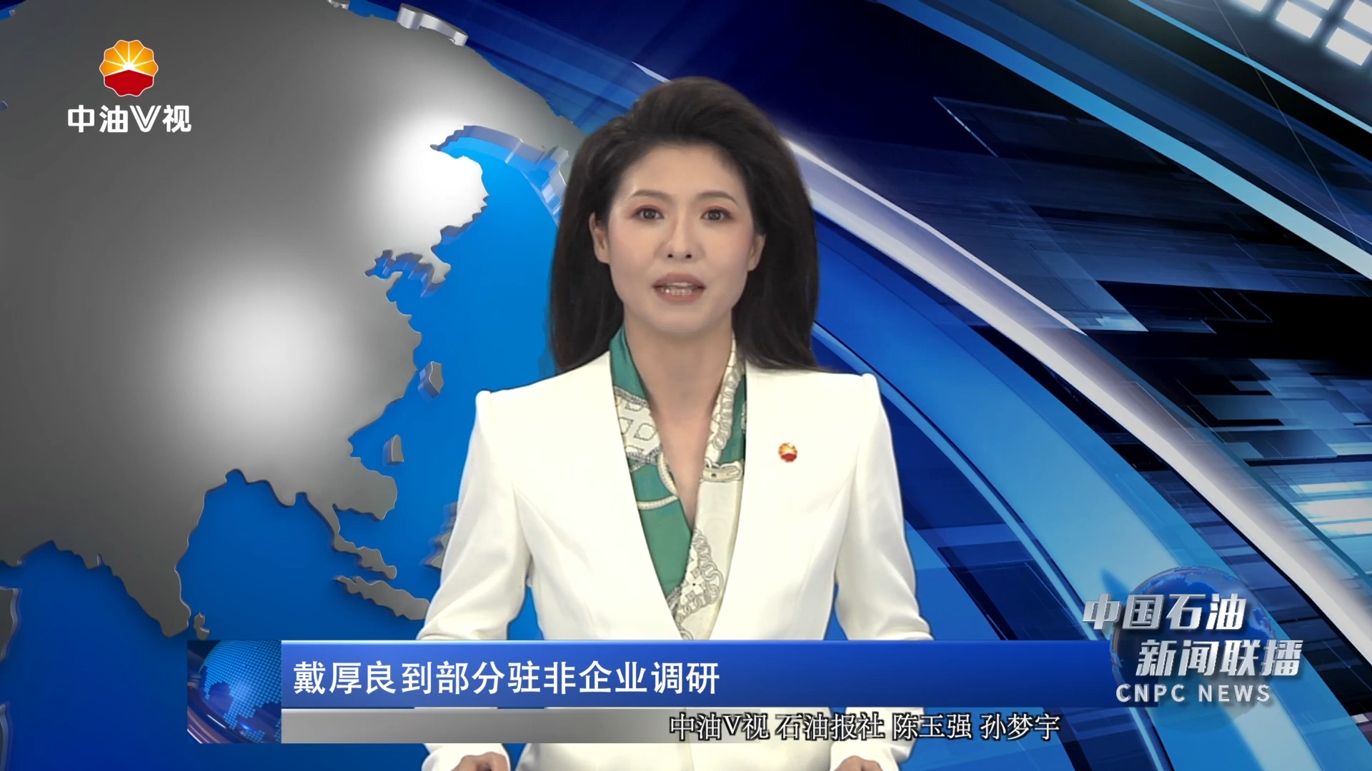 戴厚良到部分驻非企业调研