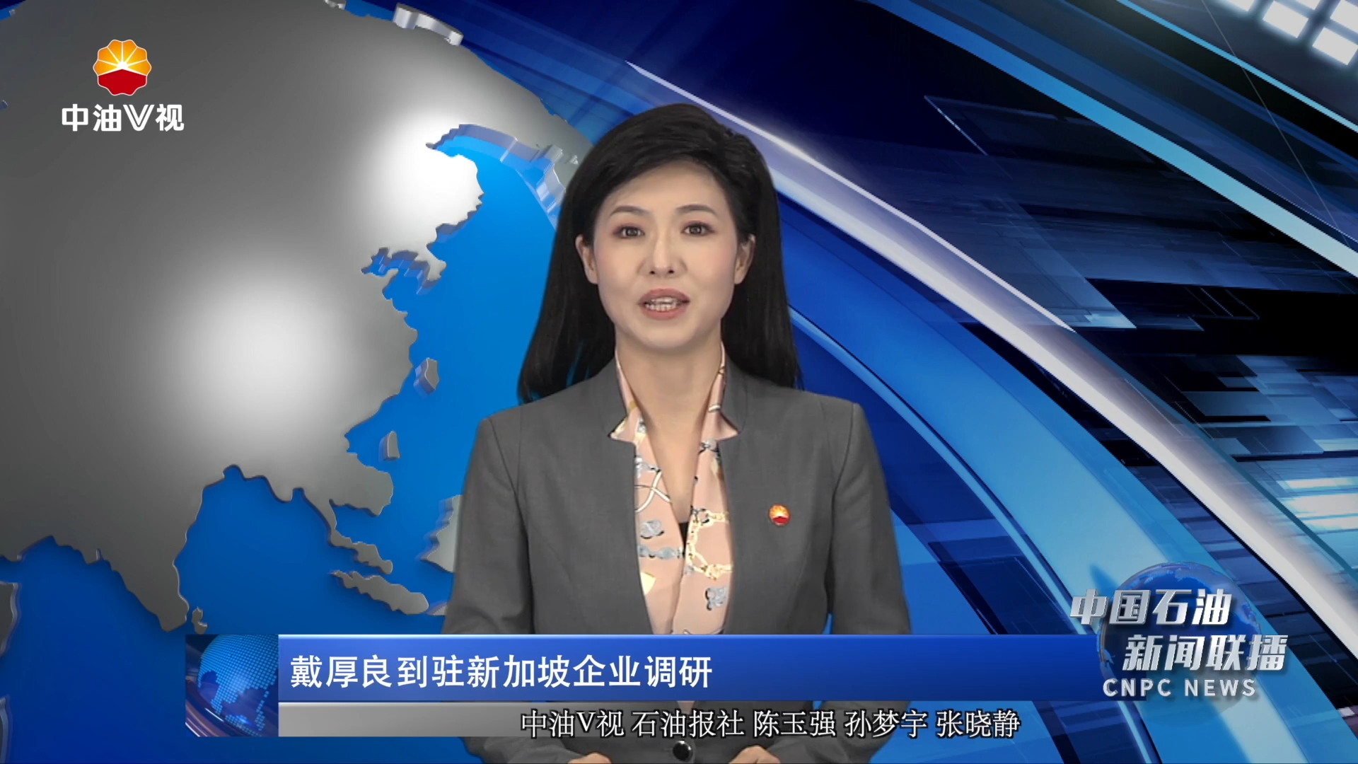 戴厚良到驻新加坡企业调研