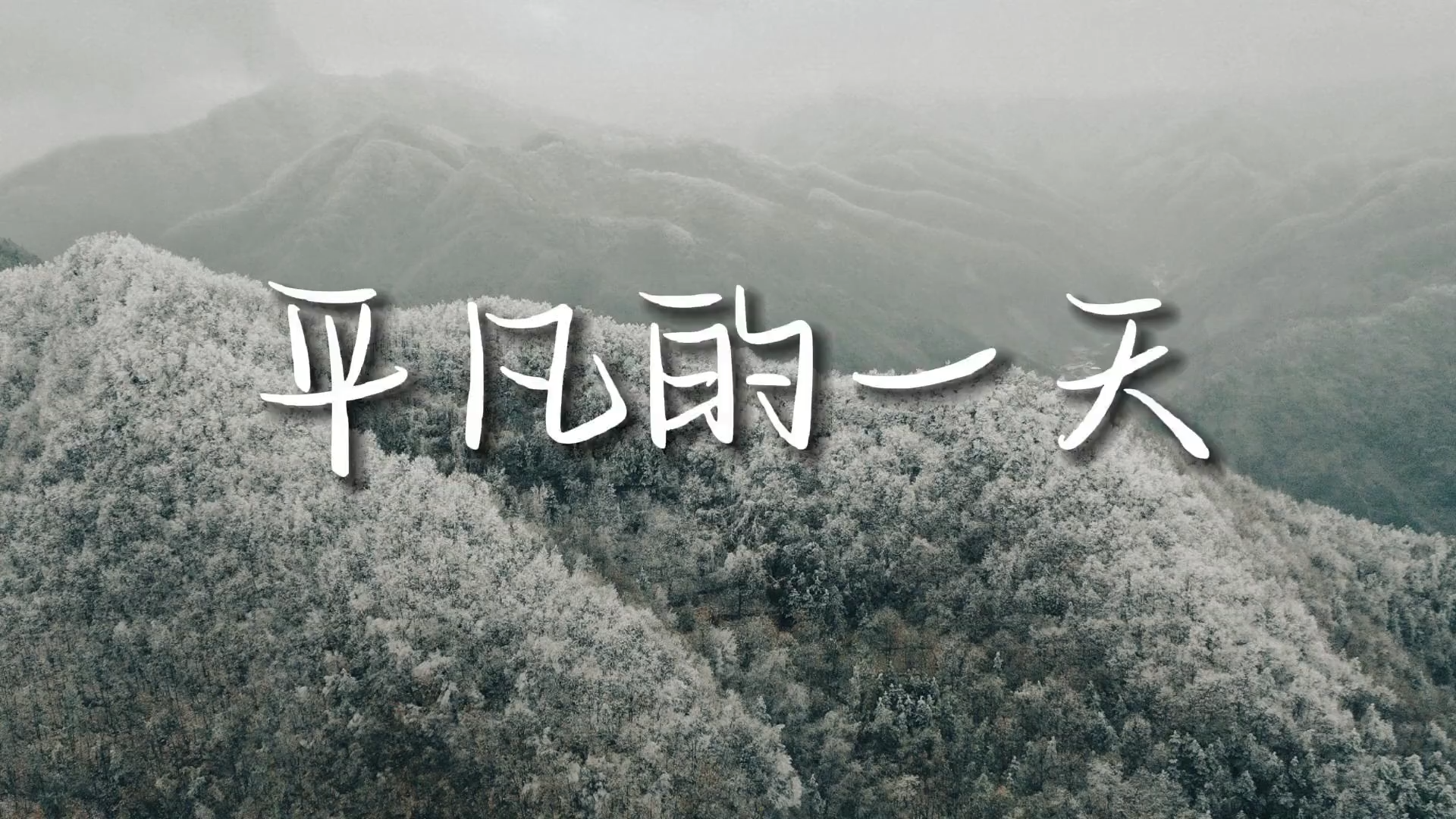 平凡的一天天，铸就不平凡的一个个！看 CPECC四川油建公司全自动焊六工程队如何高质量建设项目