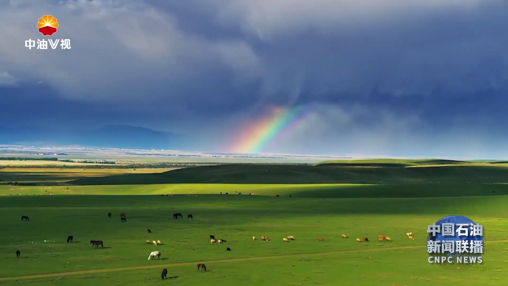 V视观察： 乌石化：  奉献能源  添彩天山  （上）