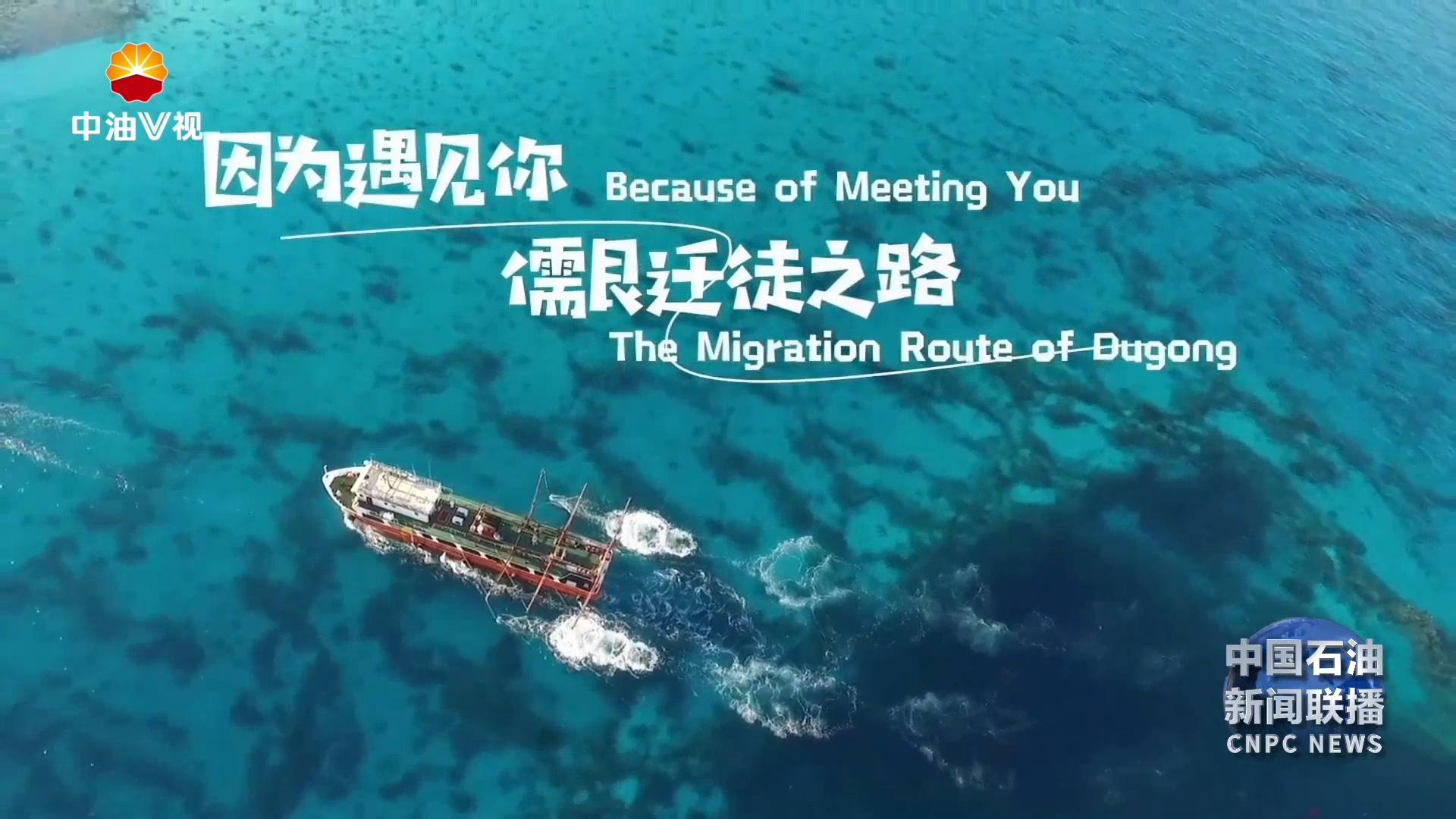 中国石油3部作品获“一带一路”百国印记短视频大赛奖项