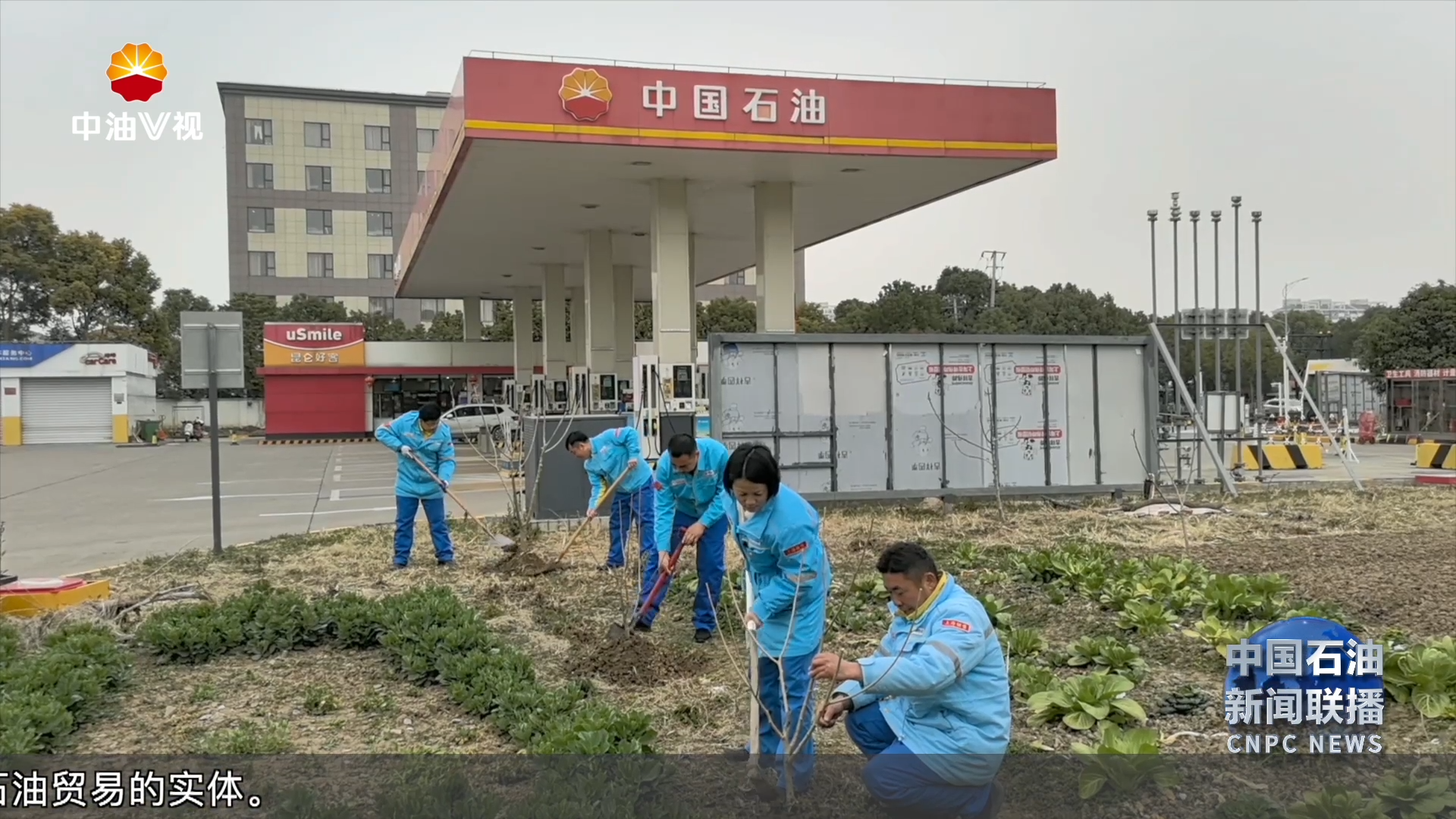 绿色行动 共筑青山 
中国石油各单位植树聚力添新绿