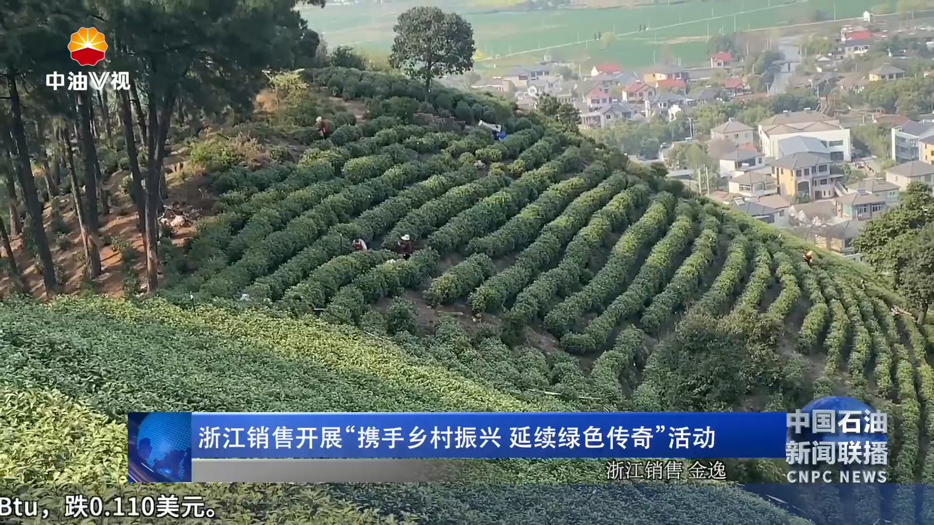 浙江销售开展“携手乡村振兴  延续绿色传奇”活动