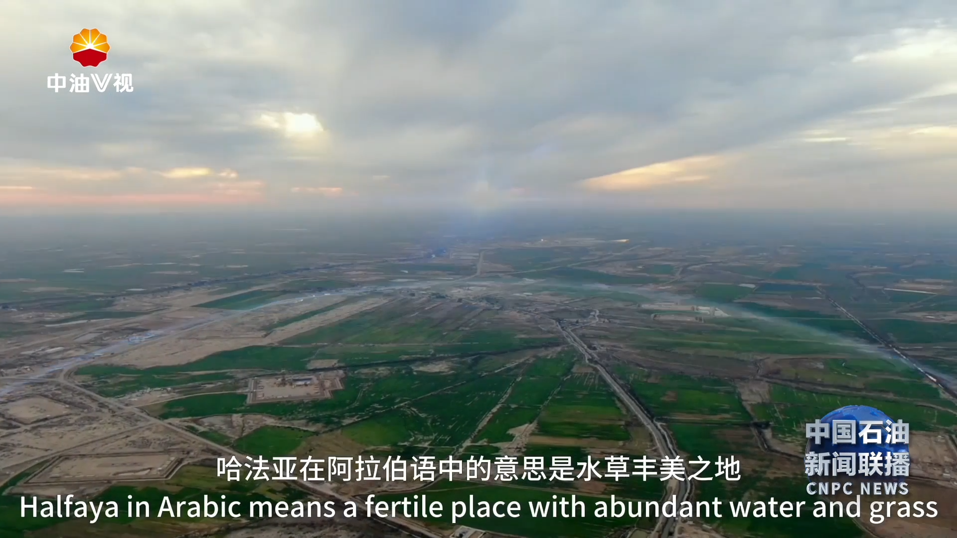 国际展播 ：哈法亚的绿色答卷