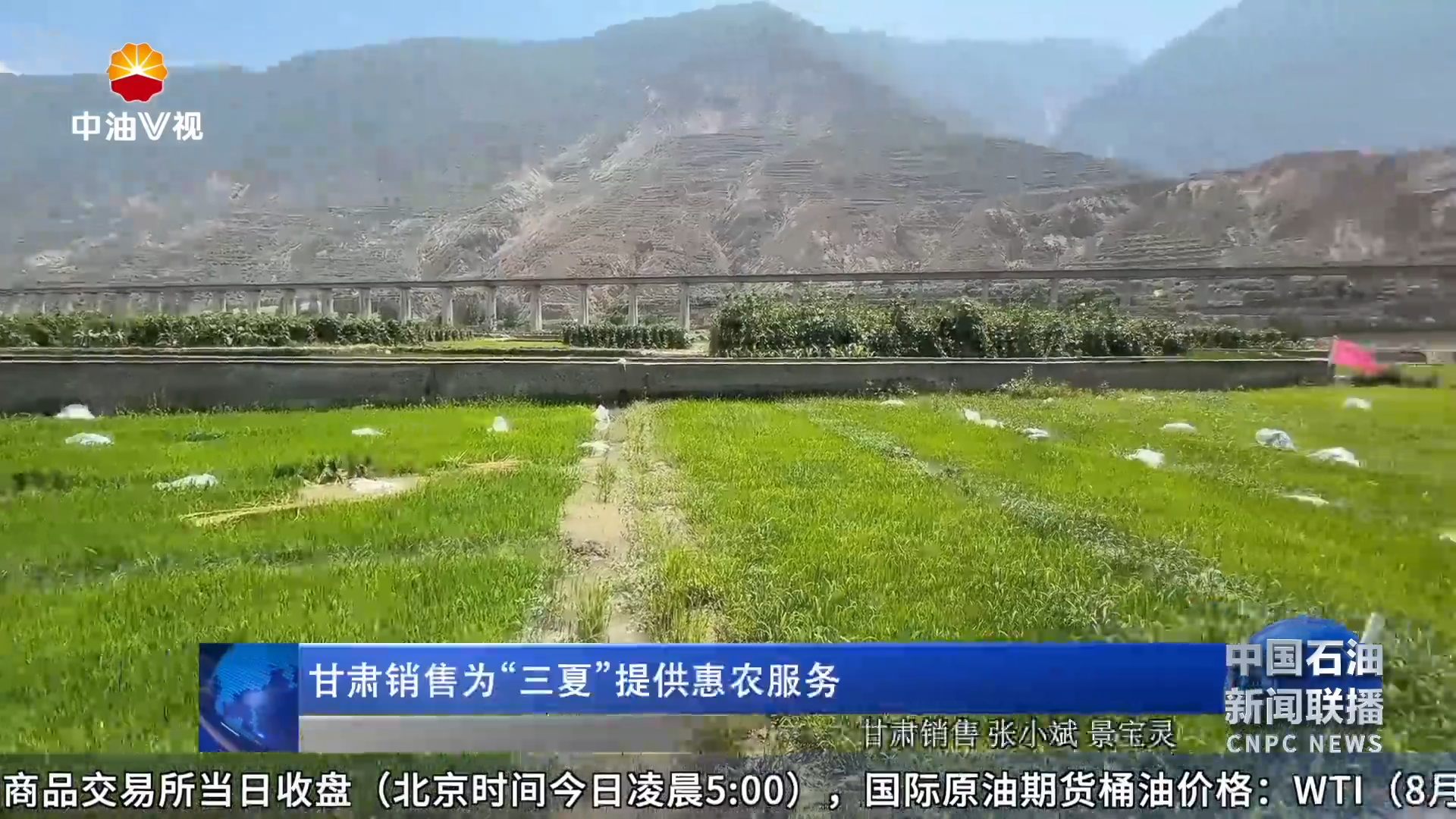 甘肃销售为“三夏”提供惠农服务