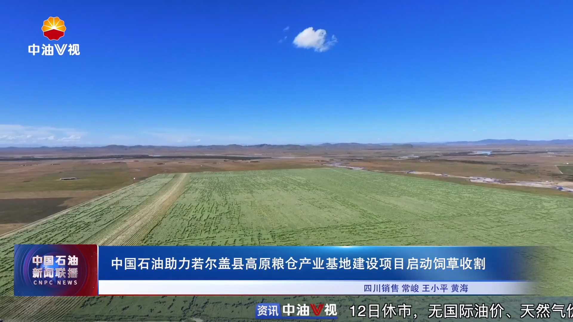 中国石油助力若尔盖县高原粮仓产业基地建设项目启动饲草收割