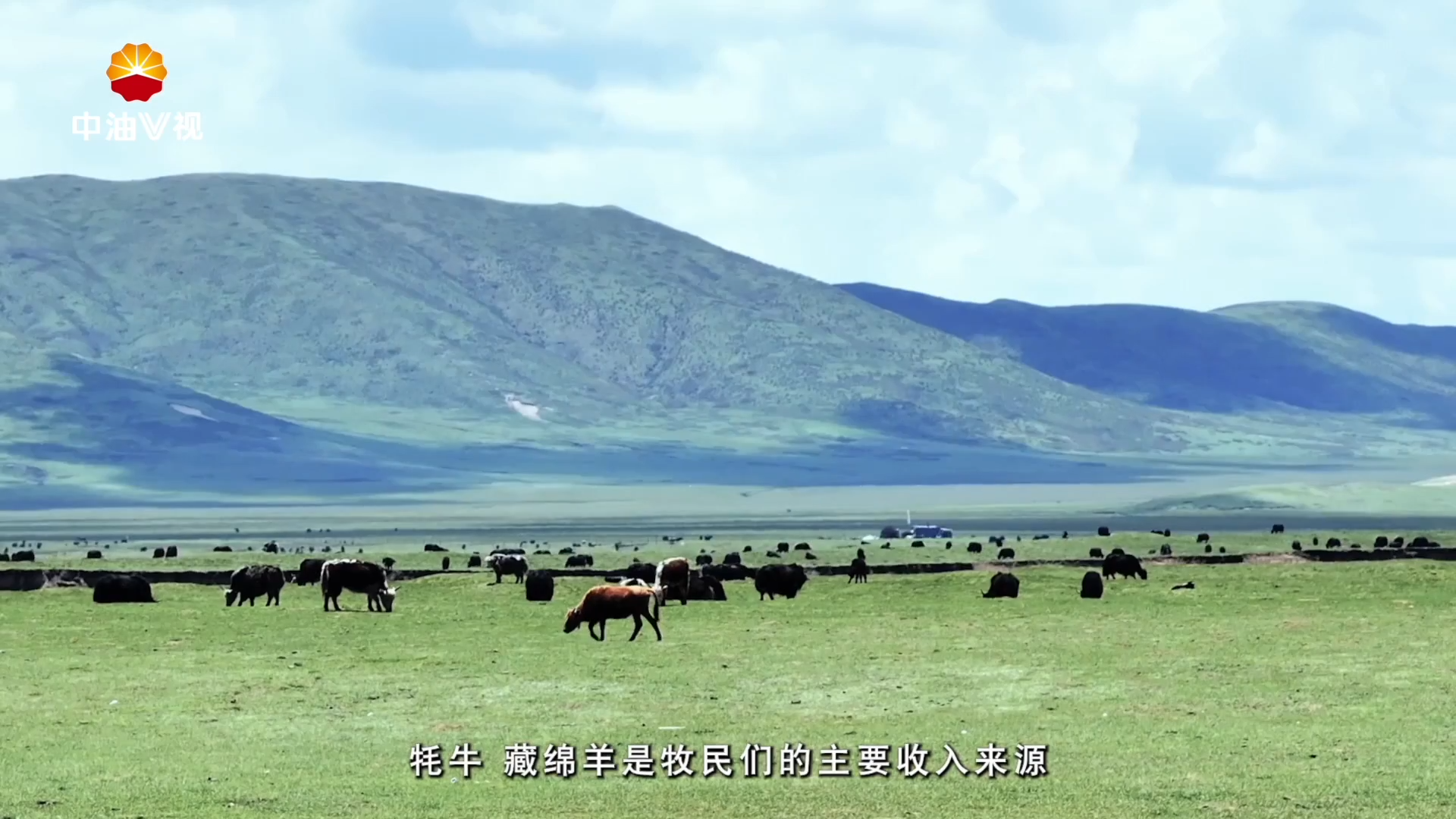 第三届“感动石油 ”人物展播
大爱暖雪域 ——何治呈